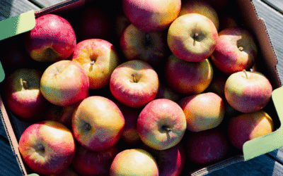 Znüni-Äpfel für dein Unternehmen