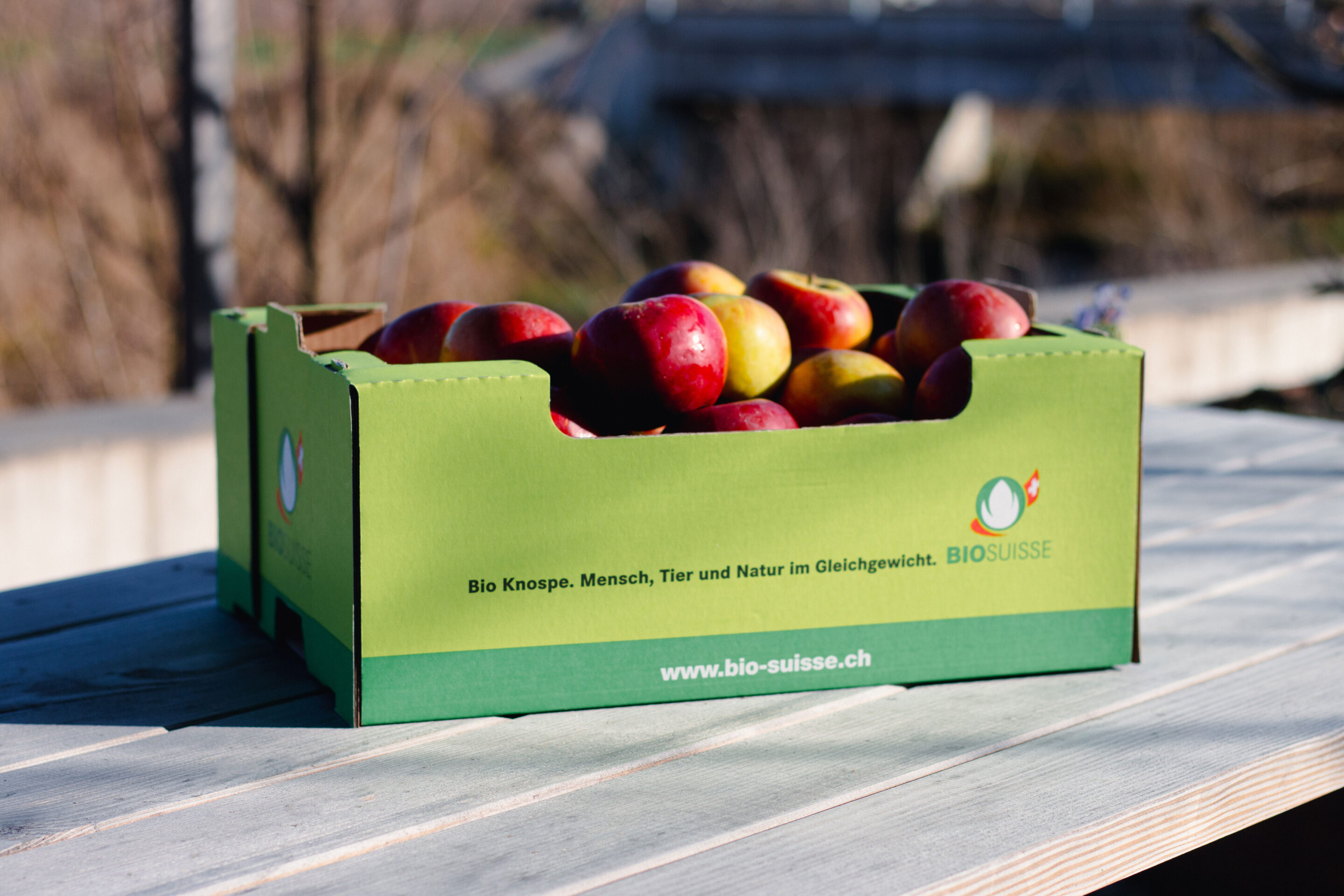 Tag des Apfels - Apfelfest